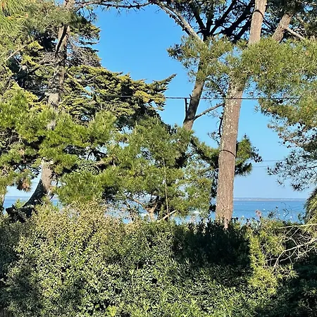 Villa Magnifique Maison A 20 M De La Vue Bassin *