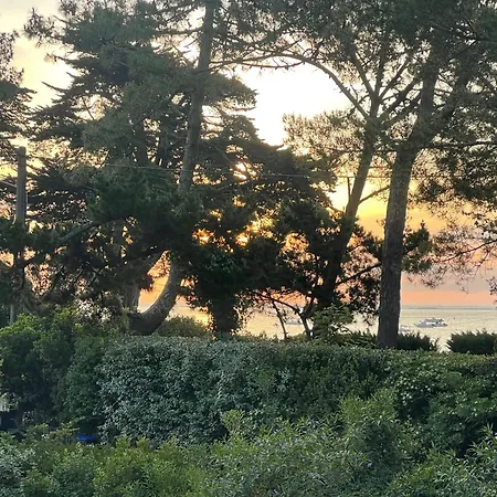 Magnifique Maison A 20 M De La Vue Bassin Lège-Cap-Ferret