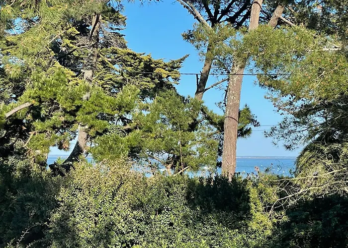 别墅 Magnifique Maison A 20 M De La Vue Bassin *