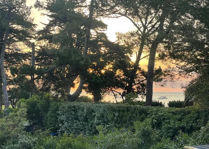 Magnifique Maison A 20 M De La Vue Bassin Lège-Cap-Ferret
