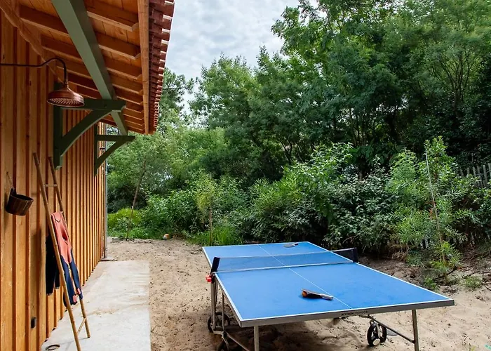 Magnifique Maison A 20 M De La Vue Bassin